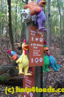 /home//u458753944/public_html/sourcegallery///Chickens/Valley Forge/IMAG0084.jpg
